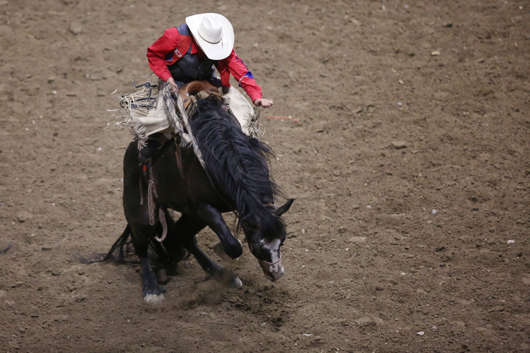 CNFR